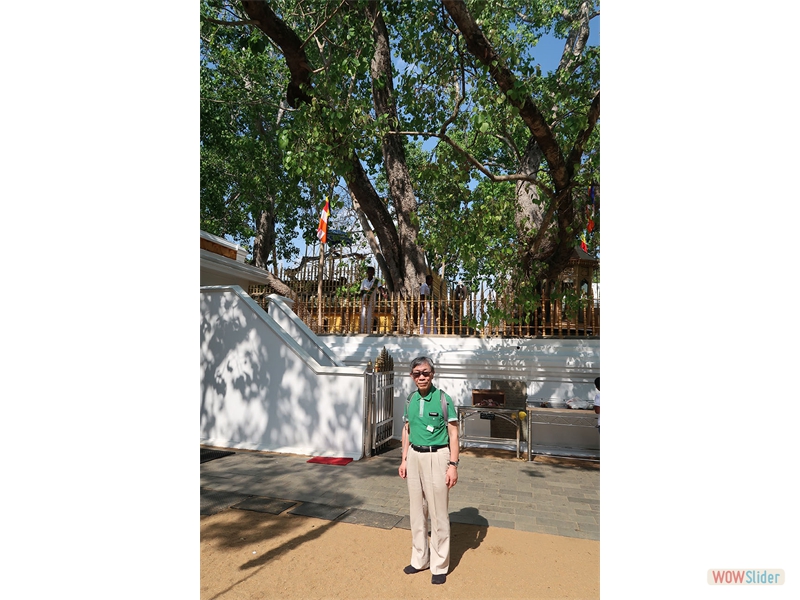 javascript photo gallery